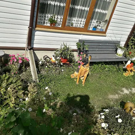 гостинний двір євгенія